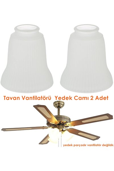 Magnotto Tavan Vantilatörü Yedek Cam Colours DLC Karayel Taflan Raks Lamba Ca...