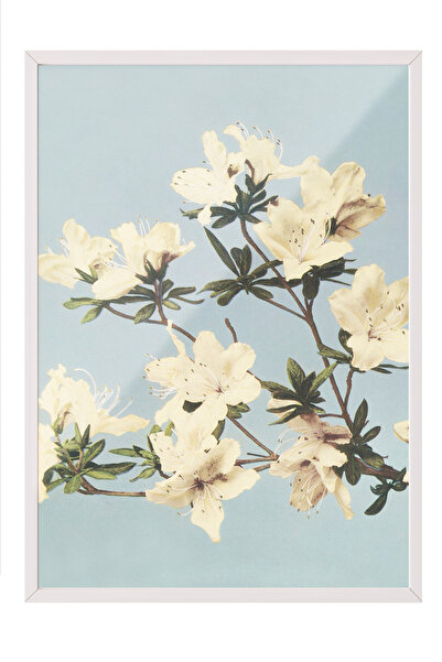Zestia Tablou înrămat alb, Ramuri de flori albe, Poster decorativ pentru dorm...