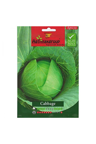 agrimax بذور الكرنب عالية الجودة (صنع في إسبانيا)