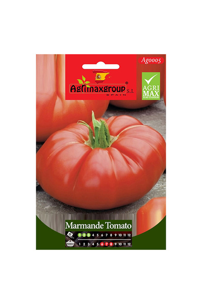 agrimax بذور طماطم مارماند عالية الجودة (صنع في إسبانيا)