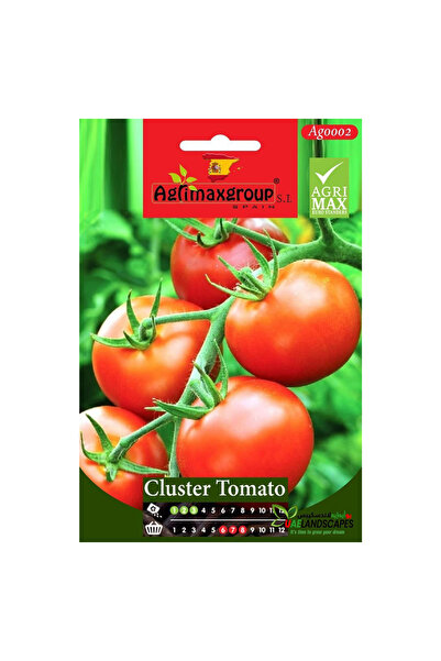 agrimax بذور طماطم عنقودية عالية الجودة (صنع في إسبانيا)