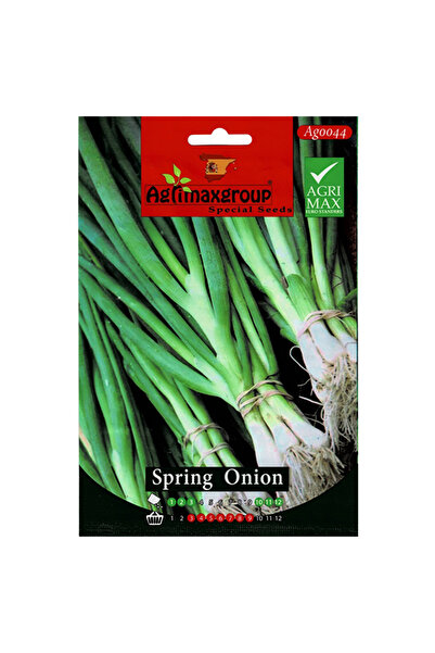 agrimax بذور البصل الربيعي عالية الجودة (صنع في إسبانيا)