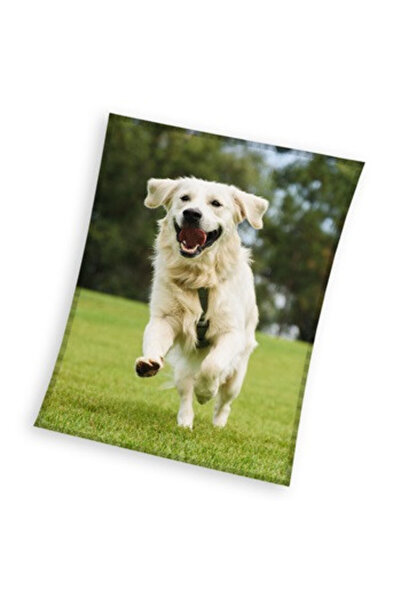 Dog Happytail Retriever coral fleece polar blanket 150x200cm