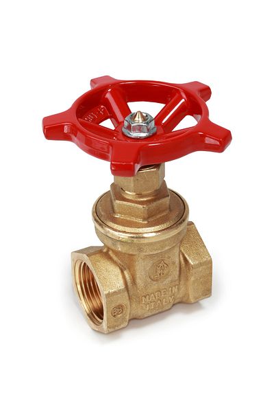 GIACOMINI R55Y006 slide valve, 1 1/4", brass, internal thread, manual, for water and steam, 16 bar