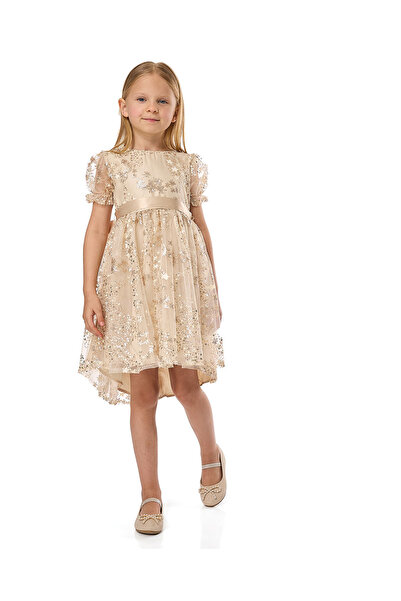 R&B Sequined Fit and Flare Dress with Crew Neck and Puff Sleeves