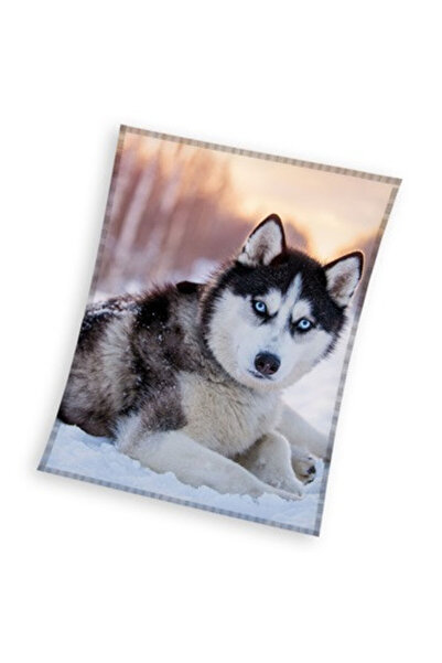 Dog Husky coral fleece blanket 150x200cm