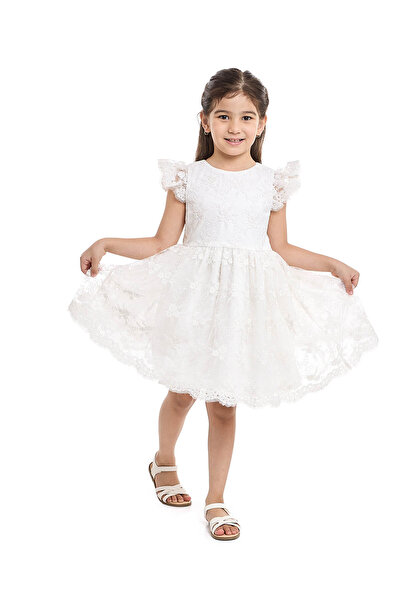 R&B فستان من الدانتيل وواسع من الأسفل مع رقبة دائرية وأكمام منفوخة