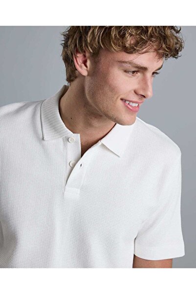 R&B Solid Polo T-Shirt with Short Sleeves