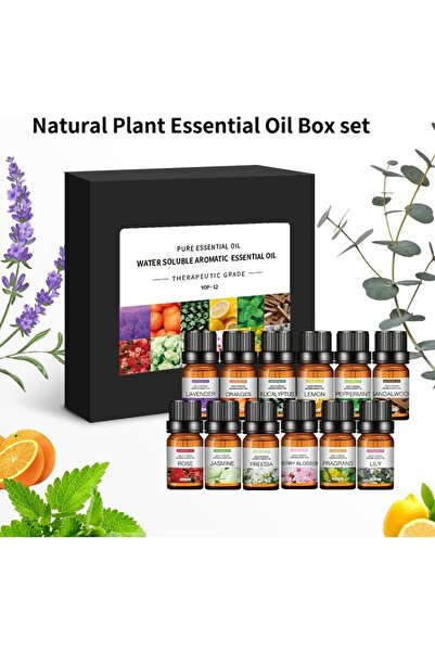 SKY TOUCH SKY-TOUCH Essential Oils Set, Oily Diffuser Scented Oils, 100% Natural Therapeutic, 12pcs x 10 mL Ar