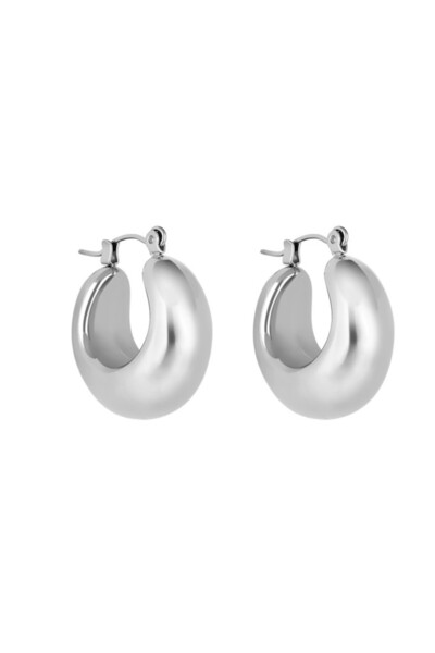 Daniel Klein Dkj.3.30010-1 Steel Gray Color Women's Earrings