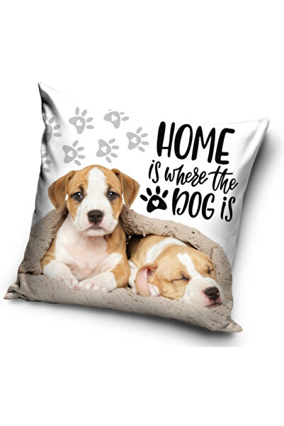 Animals Dog Home cushion cover 40x40 cm Velvet