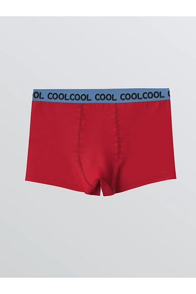 LC Waikiki Lcw Kids Printed Boy Boxer 3-Piece (W5)