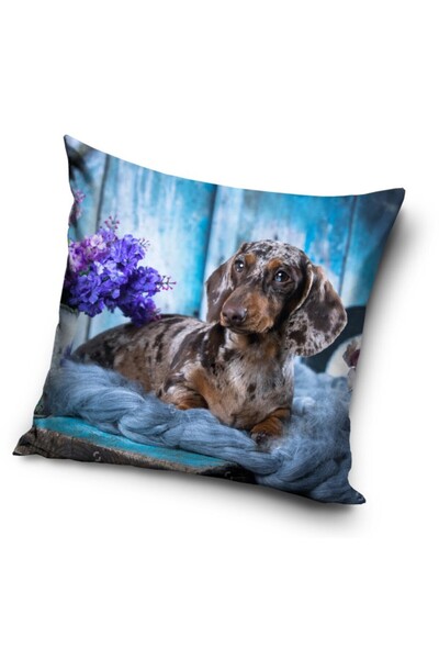 Animals Μαξιλαροθήκη για σκύλους 40x40 cm