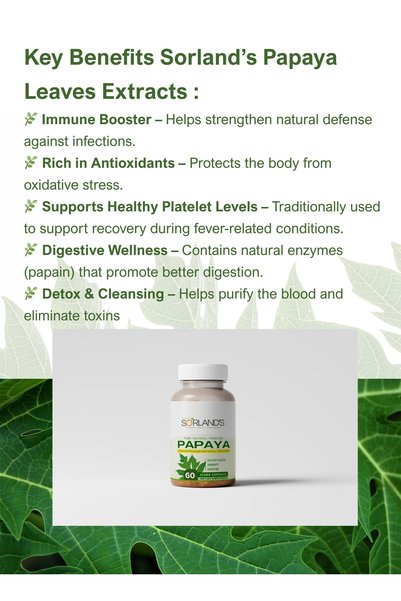Sorland s Sorland’s Papaya Leaf Extracts | Helps Digestion & Healthy Platelets | Anti-Oxidant-60 veg capsules
