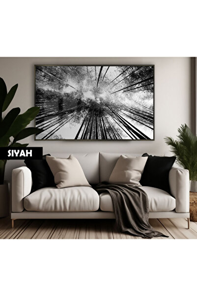Harika bir ev HARİKABİREV|SİYAH&BEYAZ RENK AĞAÇLAR MODELİ |ÇERÇEVELİ TEMPERLİ...