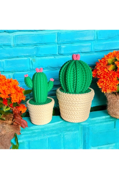 PL DİZAYN Dekoratif Örgü Saksılı Kaktüs Biblo Seti 2'li Masa Raf Süsü