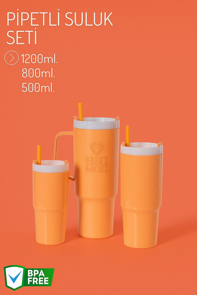 NY HOME 3 Size Straw Drinker Set Orange