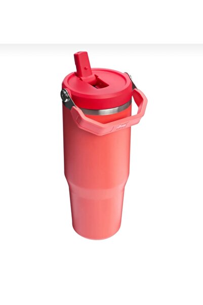 shopnano The IceFlow Flip Straw Pipetli Termos Bardak 0,89 LT