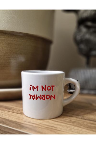 DİLAHOME I'M Not Normal Written Porcelain Mug |   Witty Gift Coffee Tea Cup Cup