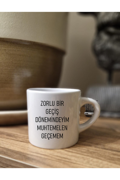 DİLAHOME I'M Going through a Tough Transition Porcelain Mug with Text |   Witty Gift Coffee Tea Cups