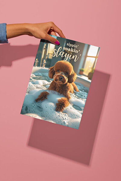 Funzee Toy Poodle Poster Series - Fun & Humorous Home Decor - No Frame