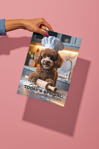 Funzee Toy Poodle Poster Series - Fun & Humorous Home Decor - No Frame