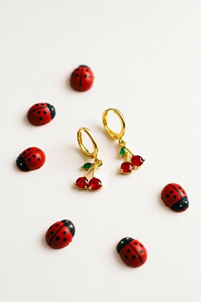 VATESTUGE Steel Cherry Figured Earrings – Energetic and Fun Design