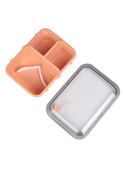 rexa Lunch Box Rectangle with 3 Partitions – Peach/Grey
