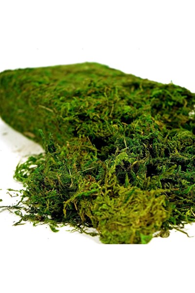 genric طحلب صناعي من ون دي كور، عشب أخضر مزيف - طحلب زخرفي واقعي للقطع المركز...