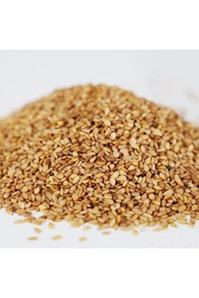 Medite Organik سمسم محمص 100 جرام