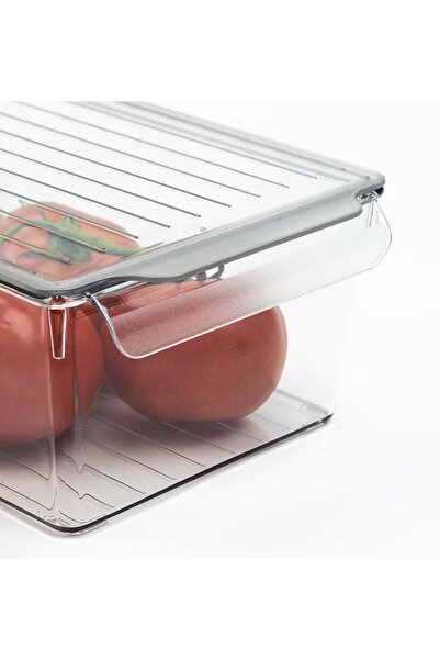 STOREMAX Jevnna Pet Refrigerator Organizer with Lid (m) Tool 646268