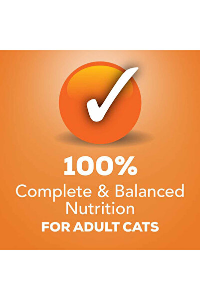 Friskies Purina Pate Wet Cat Food Pate Mixed Grill 156 g Savory Beef & Poultry Blend in Smooth Pâté,