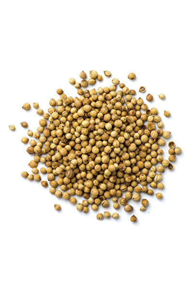 Zod بذور الكزبرة، وزن 1 كجم