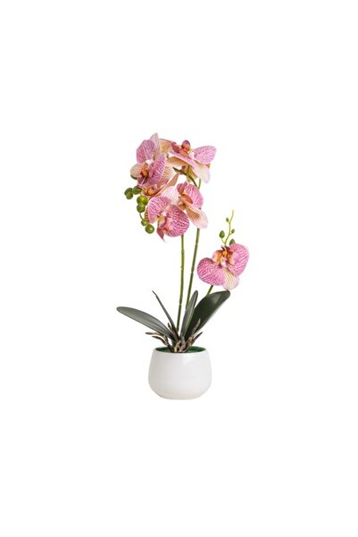 LOVE Orhidee cu aspect de floare într-un ghiveci ceramic alb, diametru 10 cm,...