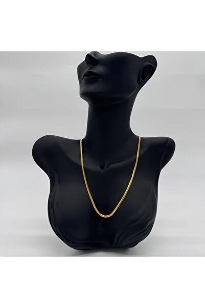 TAKIŞINA Steel Italian Chain Unisex Gold Necklace 50 cm - Gold