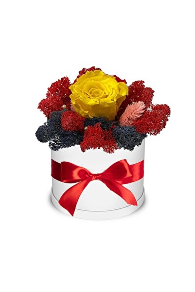 OEM Aranjament de trandafiri criogenici galbeni în cutie albă cu mușchi stabi...