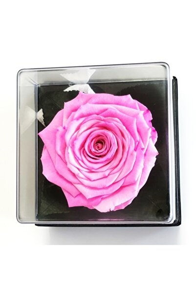 OEM Trandafir roz înghețat, Ø8cm, cutie cadou transparentă 10x10x11cm