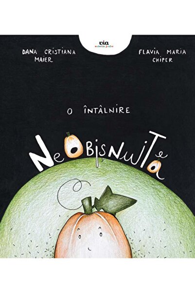 Editura Via O intalnire neobisnuita, Dana Cristiana Maier