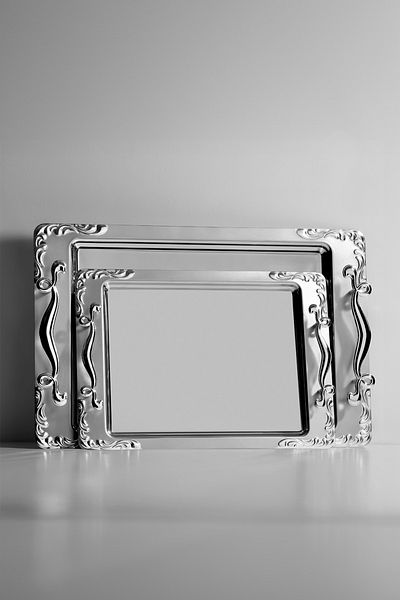 Nehir Lalezar Satin Set of 2 Steel Trays