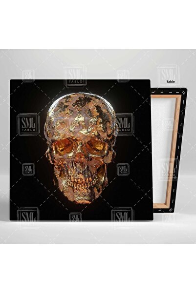 SML TABLO Cap de marmură roz cu tablou pătrat de pânză placat cu aur