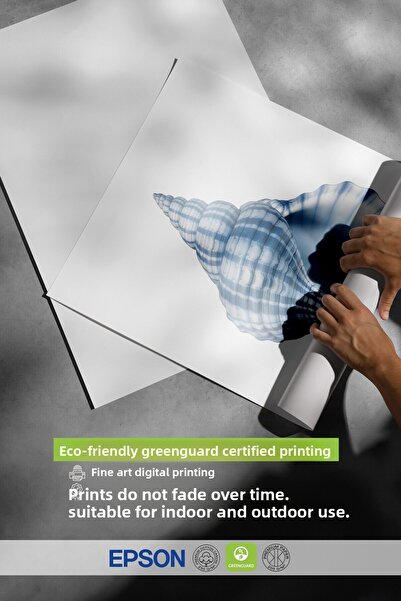 Postifull Wooden Framed Painting, Blue Seashell, Illustration, Blue Color Poster, 2025 Summer Selection, No:10974