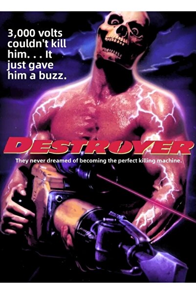 Universal Poster decorativ din lemn pictat (Destroyer 1988)