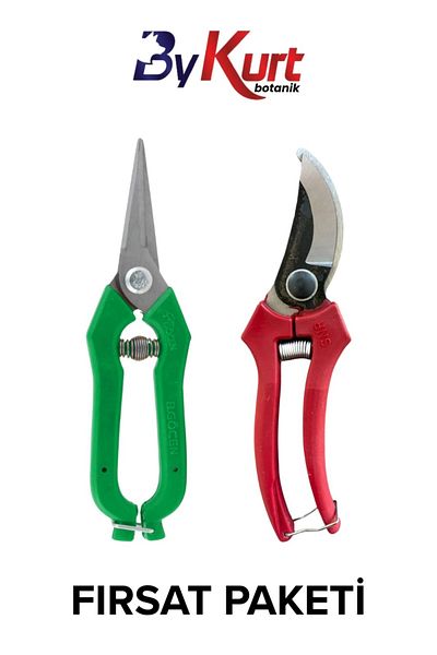 ByKurt Curve Vineyard Pruning Shears 20cm and Fruit Picking Scissors 19cm for Grape Strawberry Citrus