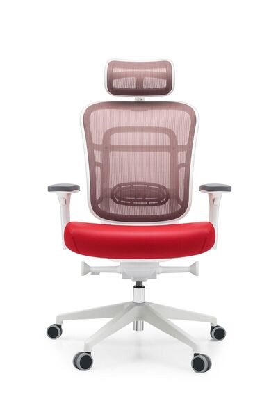 Ivo Office Passion Çalışma | Oyuncu | Ofis | Yönetici | Makam Koltuğu