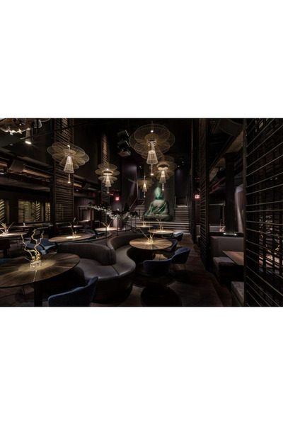 LUXXO LED Chandelier 20W, 3000K Warm Light, Metal Body, Gravity