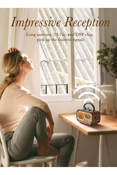 Denx Portable HI-FI Radio 3 Channel FM - AM - Gold/Brown/Black Bluetooth AUX TF Card USB Flash Disk