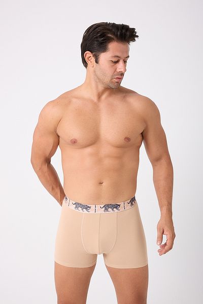 Saint Sail Printed Colorful Tiger Pattern Men's Boxers with Cotton Lycra Stretch Fabric