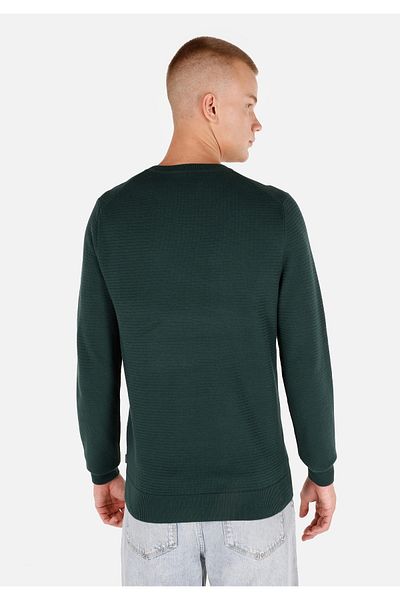 Colin's Regular Cut Crew Neck Green Men's Sweater Cl 1046786