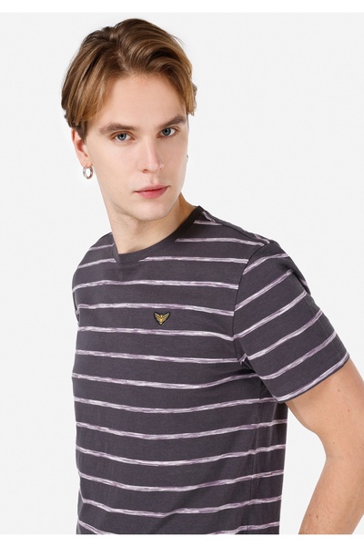 Colin's Regular Fit Round Neck Striped Men's Anthracite Short Sleeve T-Shirt