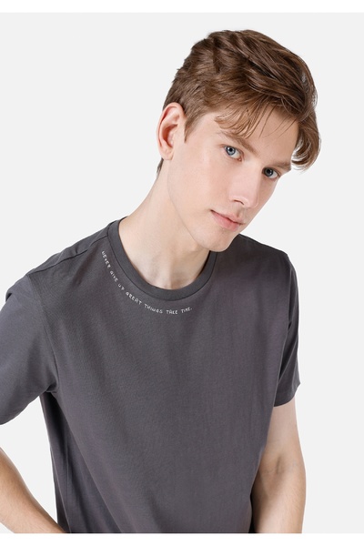 Colin's Ανδρικό κοντομάνικο μπλουζάκι Normal Cut Crew Neck με στάμπα Anthracite Cl 1068521